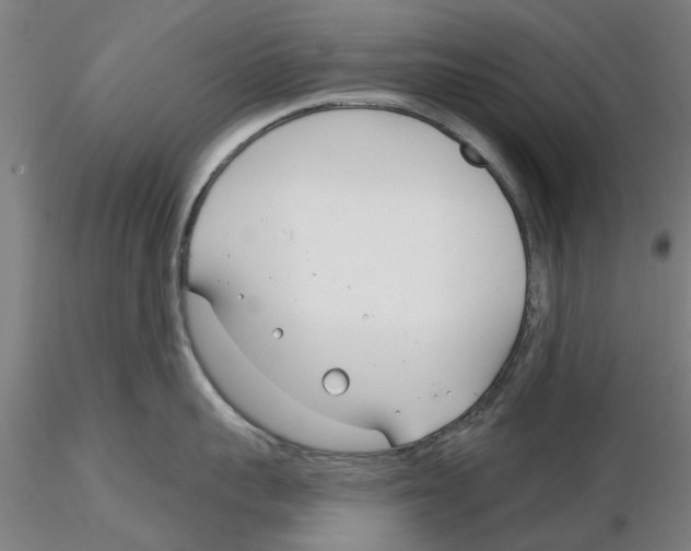 X0000116160959201001041111