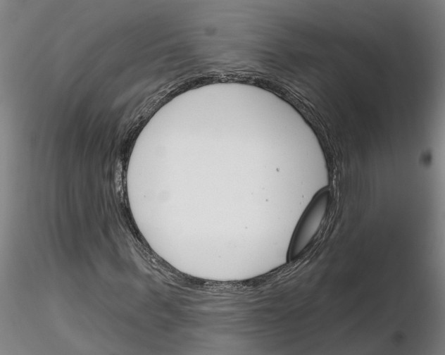 X0000116160963201001041111