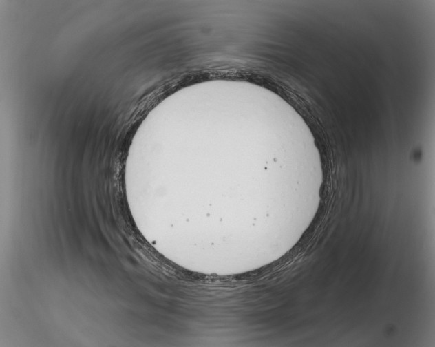 X0000116160964201001041111