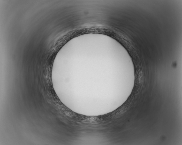 X0000116160966201001041111