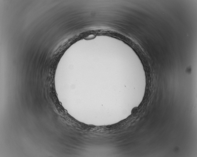X0000116160967201001041111