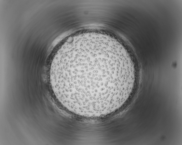 X0000116160970201001041111