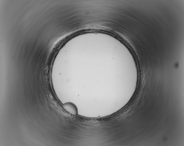 X0000116160971201001041111