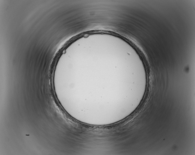 X0000116160972201001041111