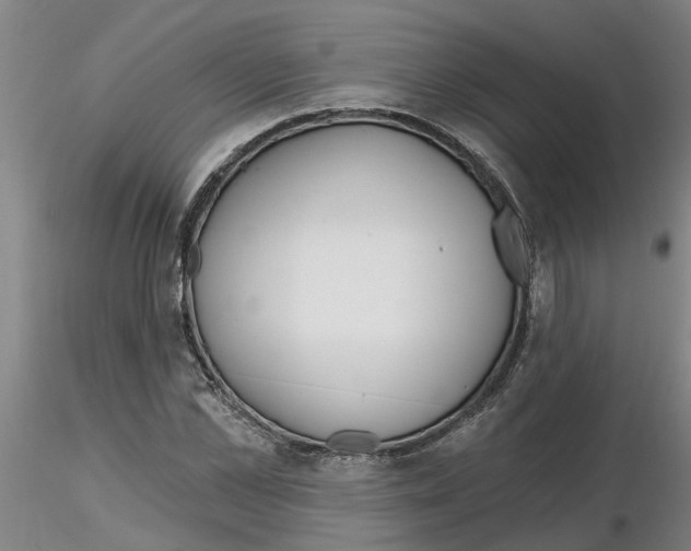 X0000116160973201001041111