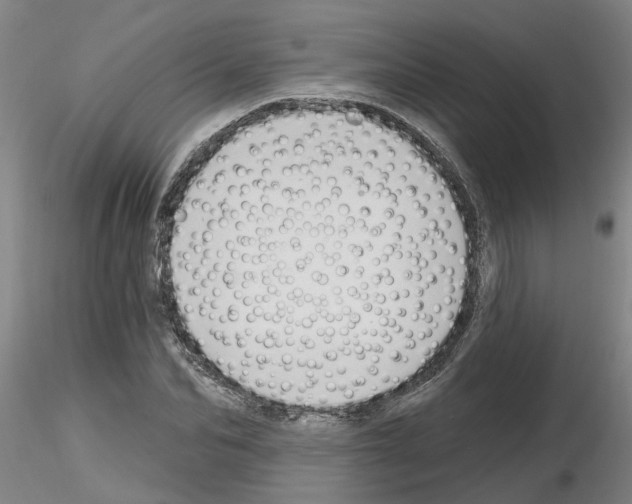 X0000116160974201001041111