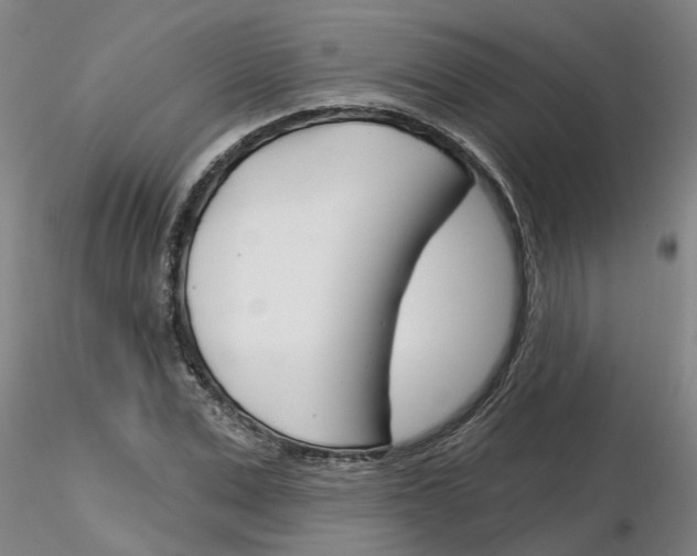 X0000116160975201001041111
