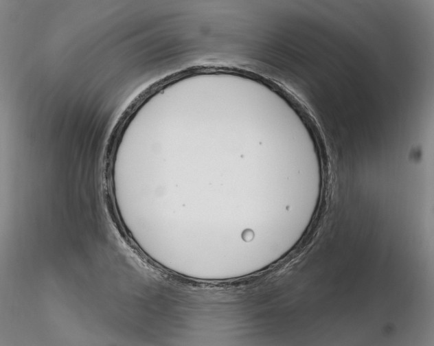 X0000116160976201001041111