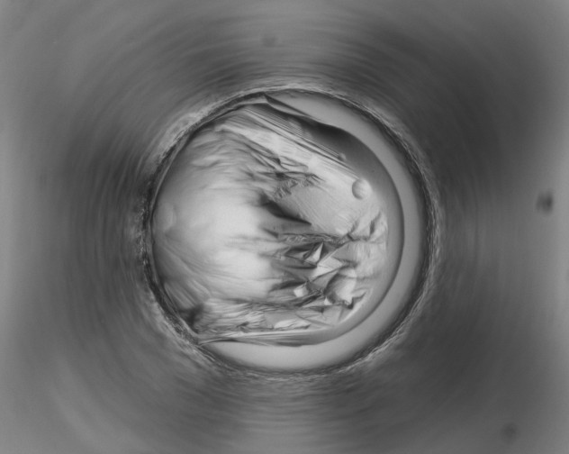 X0000116160977201001041111