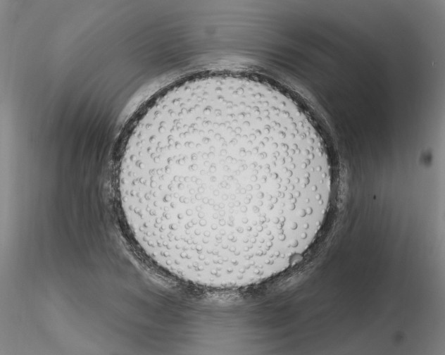 X0000116160978201001041111