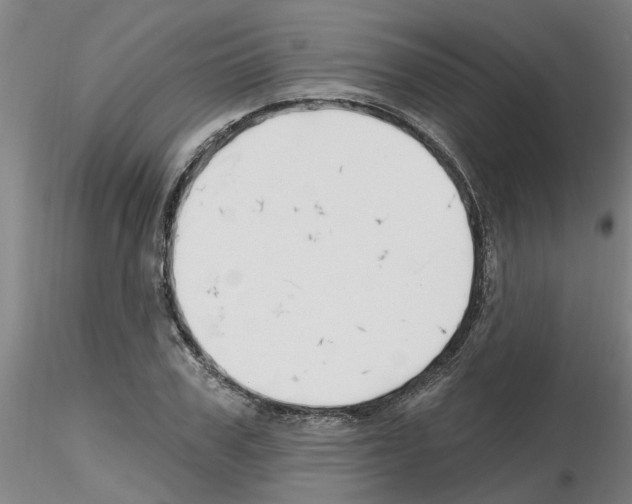 X0000116160979201001041111