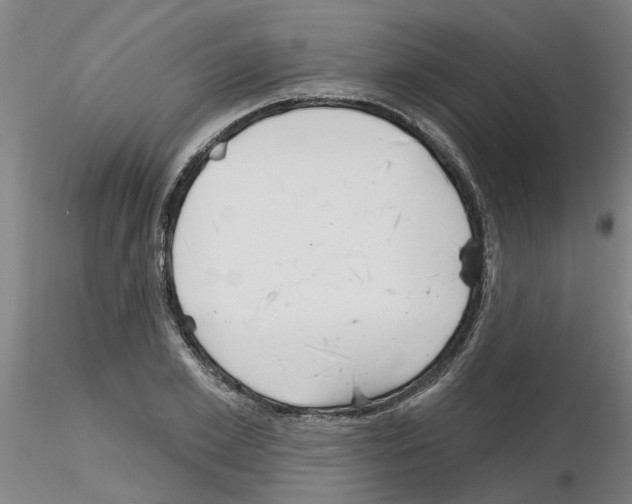 X0000116160981201001041110