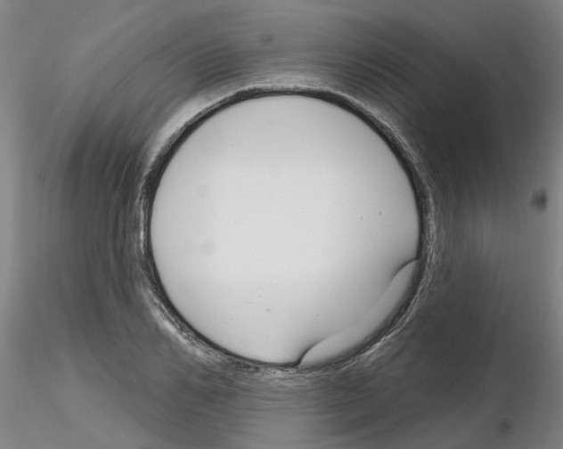 X0000116160982201001041110