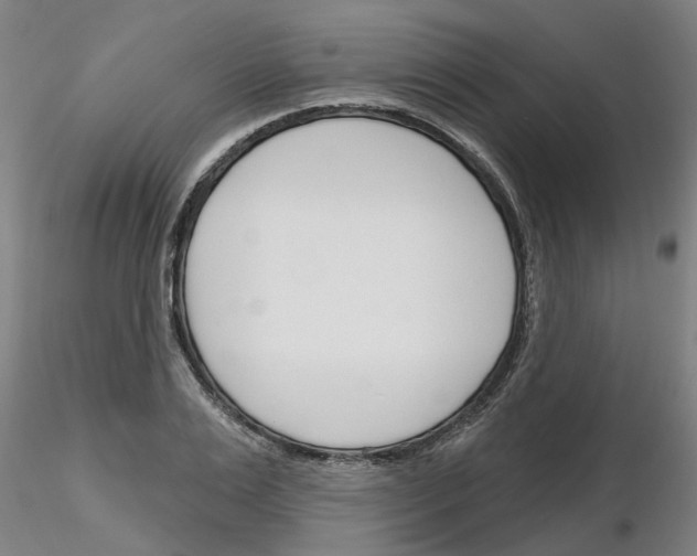 X0000116160983201001041110