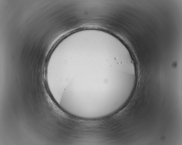 X0000116160984201001041110