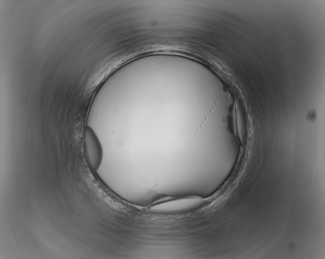 X0000116160985201001041110
