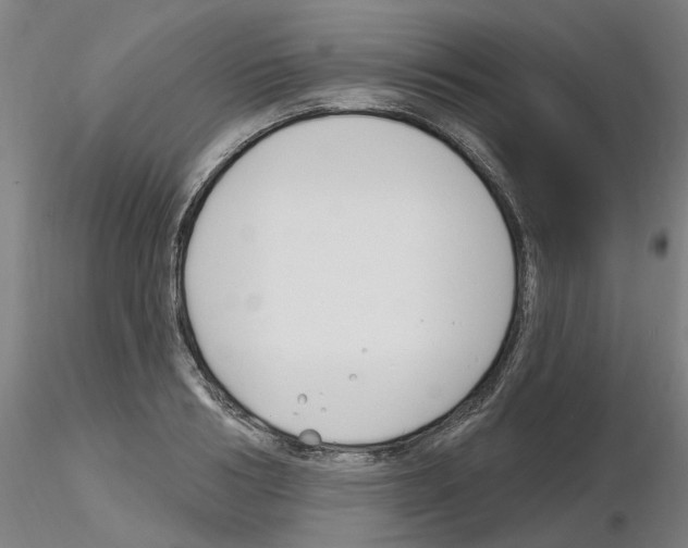 X0000116160986201001041110