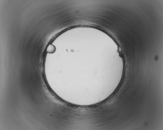X0000116160987201001041110