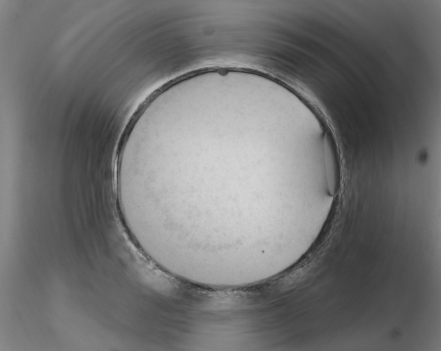 X0000116160988201001041110