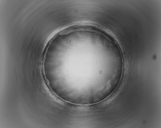 X0000116160989201001041110