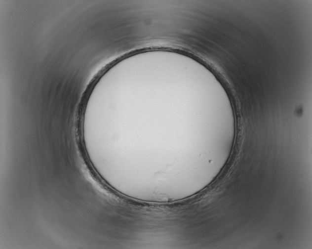 X0000116160991201001041110