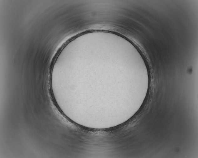 X0000116160992201001041110