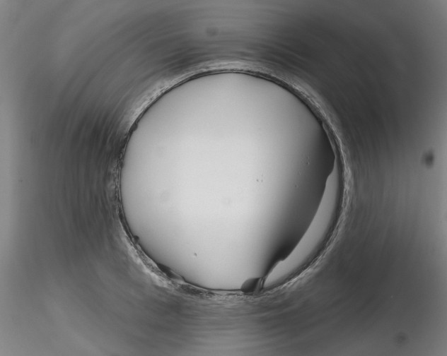 X0000116160993201001041110