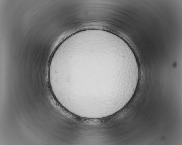 X0000116160994201001041110