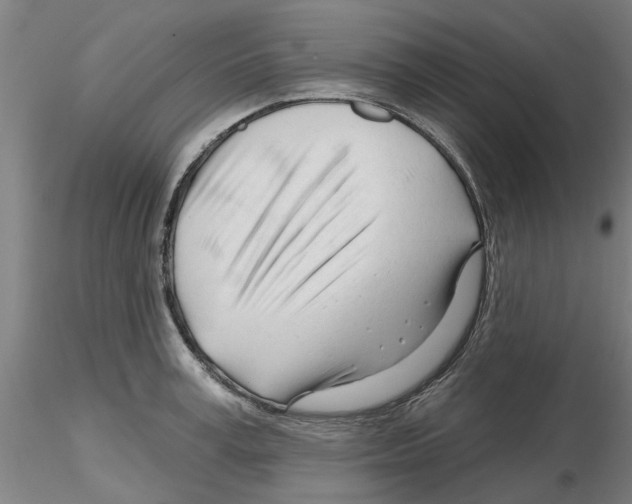 X0000116160995201001041110