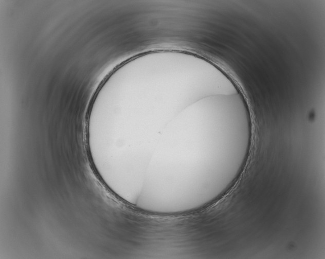 X0000116160996201001041110