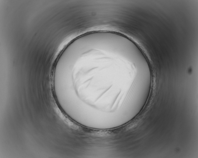 X0000116160998201001041110