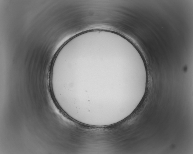 X0000116160999201001041110