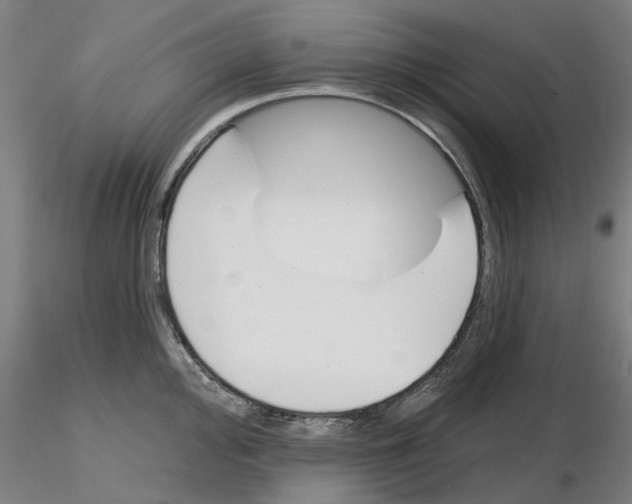 X0000116161000201001041110