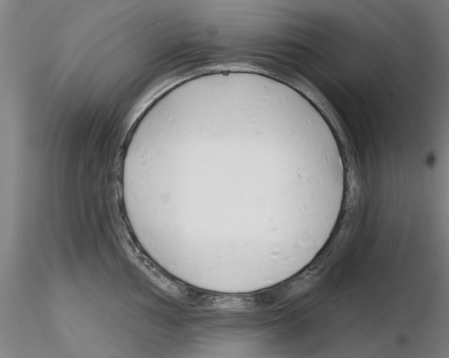 X0000116161002201001041110