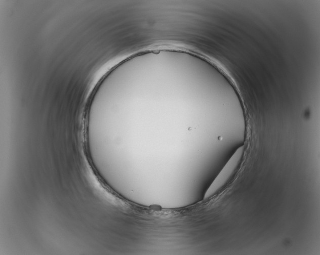 X0000116161003201001041110