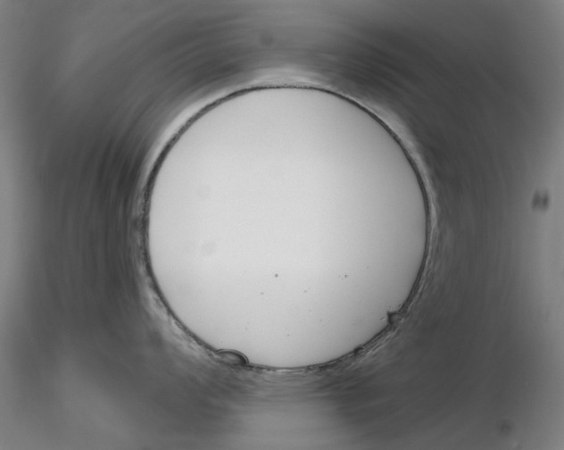 X0000116161008201001041110
