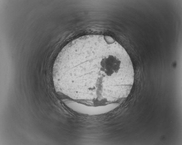 X0000116161009201001041109