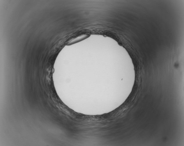 X0000116161010201001041109