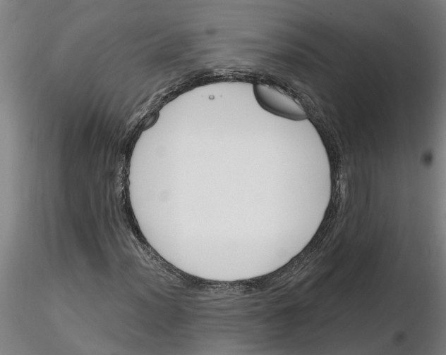 X0000116161012201001041110