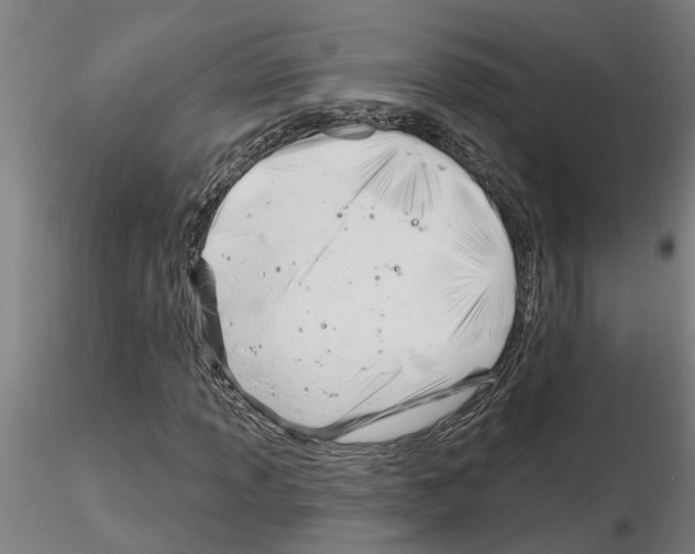 X0000116161013201001041110