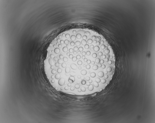 X0000116161014201001041110