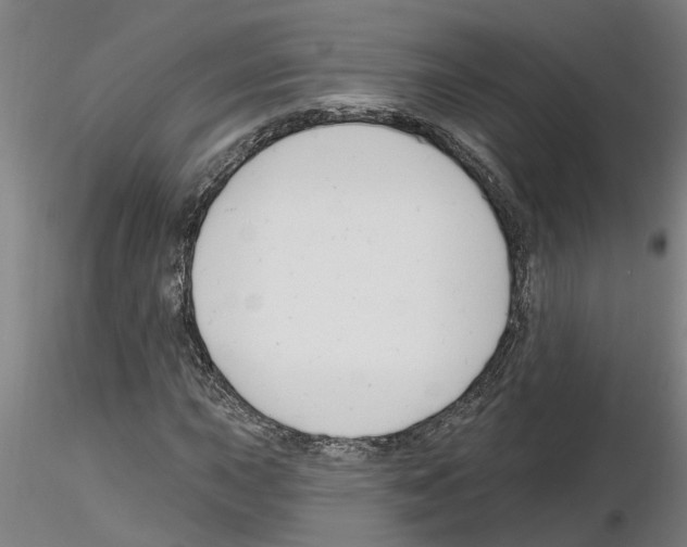 X0000116161015201001041110