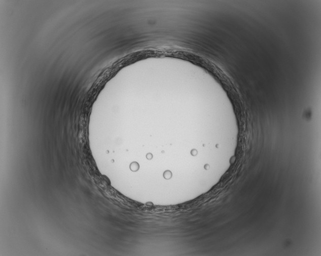 X0000116161016201001041110