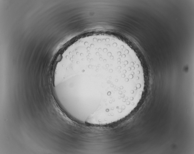 X0000116161018201001041110