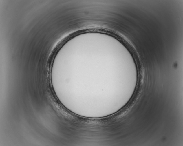 X0000116161021201001041110