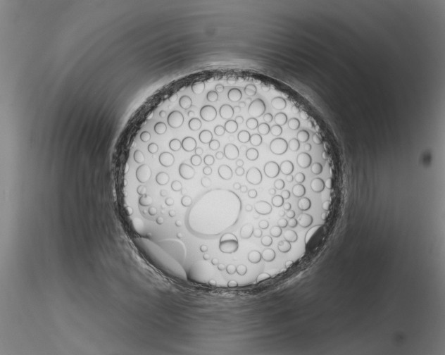 X0000116161022201001041110