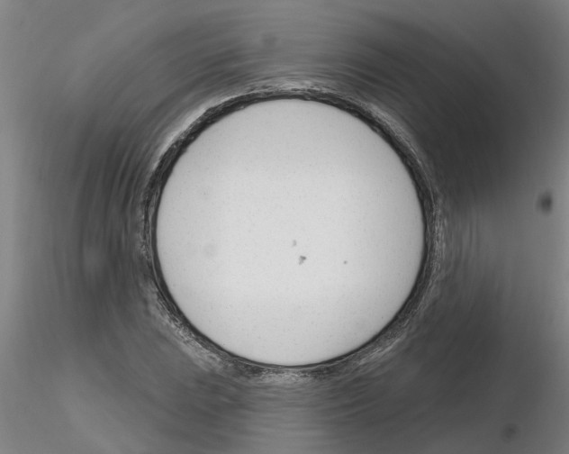 X0000116161023201001041110