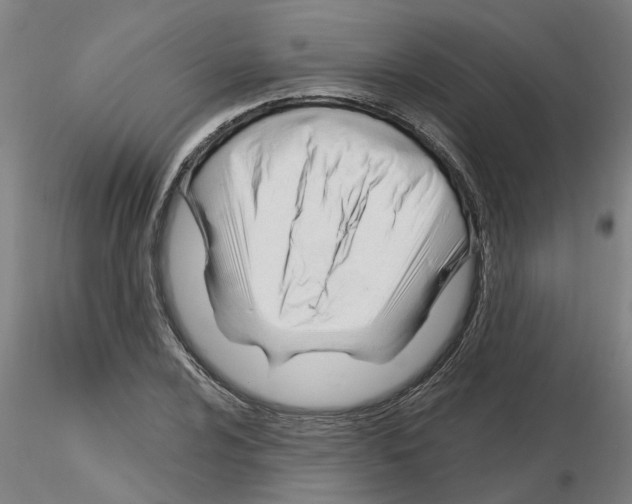 X0000116161024201001041110