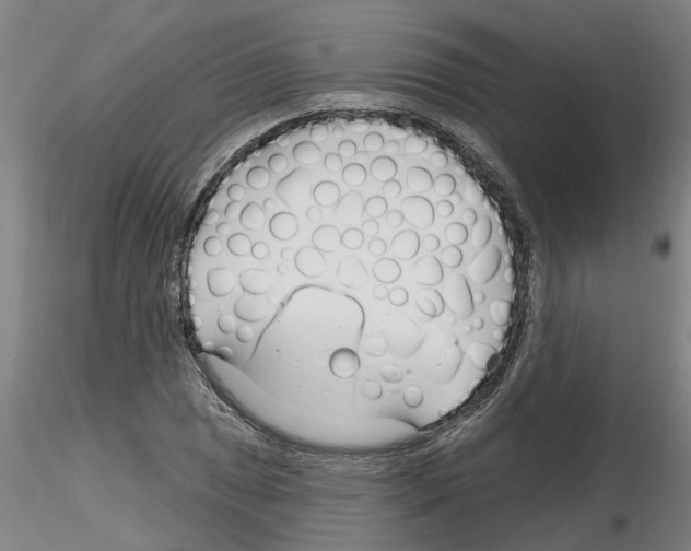 X0000116161025201001041110