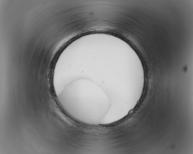 X0000116161026201001041110